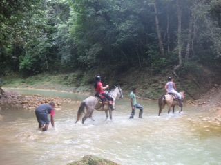 iway sys excursion a samana desde punta cana cayo levantado isla bacardi island cascada limón waterfall