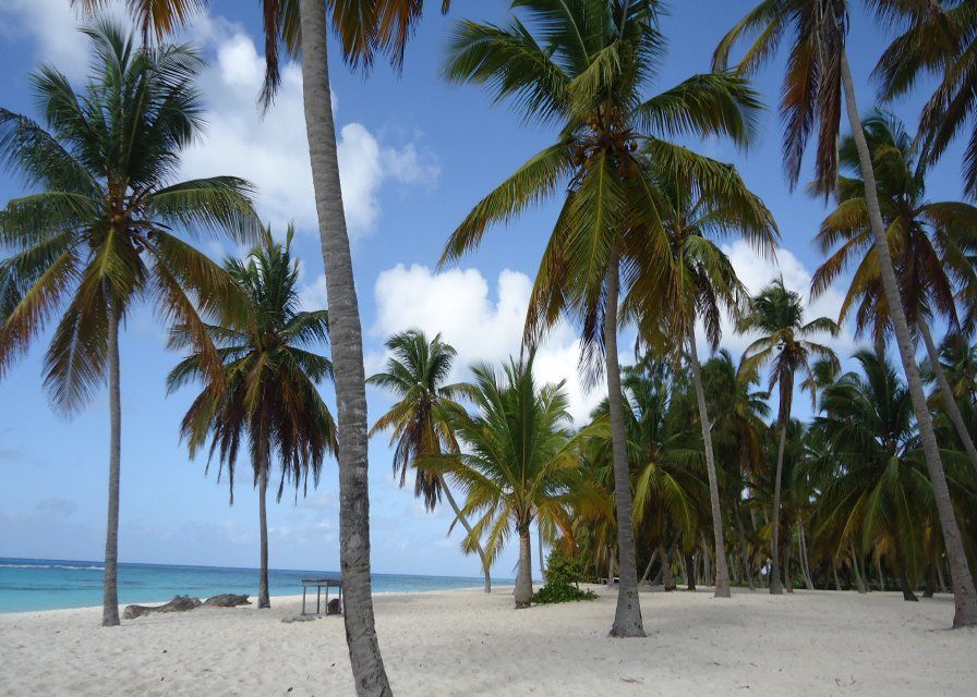 iway sys excursion a samana desde punta cana cayo levantado isla bacardi island cascada limón waterfall