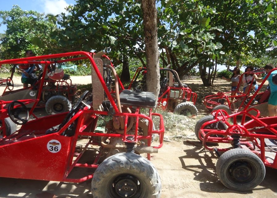 Resultado de imagen de Buggy Nocturno punta cana