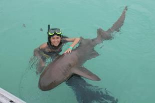 delfines dolphin punta cana iway sys excursiones