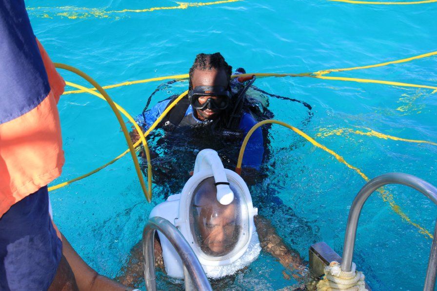 delfines dolphin punta cana iway sys excursiones dophins seaquarium