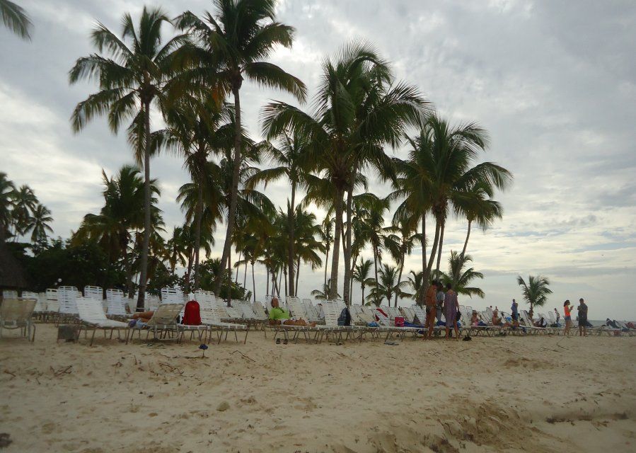 iway sys excursion a samana desde punta cana cayo levantado isla bacardi island cascada limón waterfall