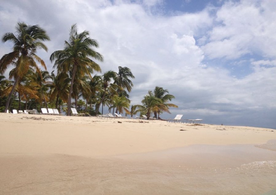 iway sys excursion a samana desde punta cana cayo levantado isla bacardi island cascada limón waterfall