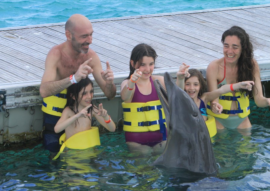 delfines dolphin punta cana iway sys excursiones dophins