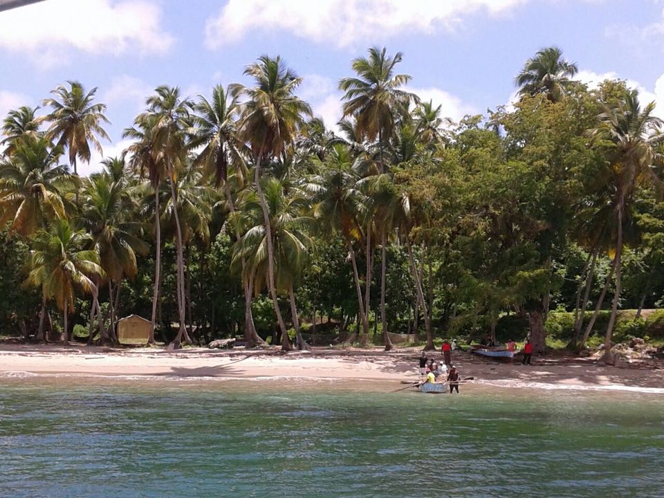 iway sys excursion a samana desde punta cana cayo levantado isla bacardi island cascada limón waterfall