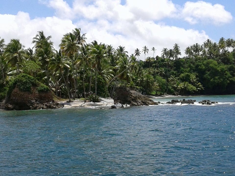 iway sys excursion a samana desde punta cana cayo levantado isla bacardi island cascada limón waterfall