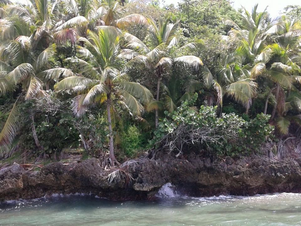 iway sys excursion a samana desde punta cana cayo levantado isla bacardi island cascada limón waterfall