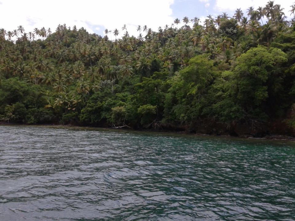 iway sys excursion a samana desde punta cana cayo levantado isla bacardi island cascada limón waterfall