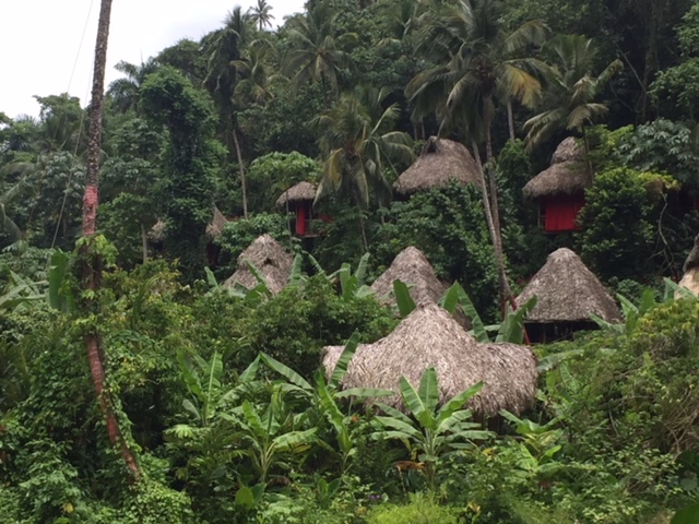 iway sys excursion a samana desde punta cana cayo levantado isla bacardi island