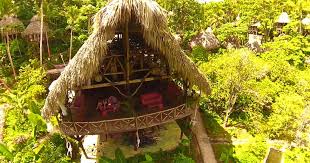 ecolodges republica domincana samana iway sys hotel ecologico especial treehouse bongalows