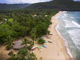 ecolodges republica domincana samana iway sys hotel ecologico especial treehouse bongalows playa valle