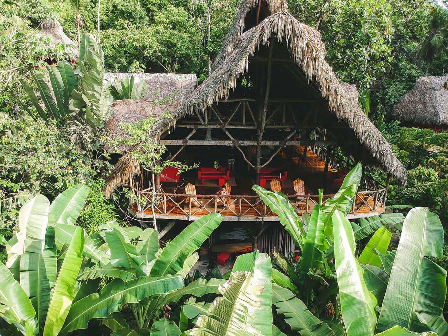 ecolodges republica domincana samana iway sys hotel ecologico especial treehouse bongalows