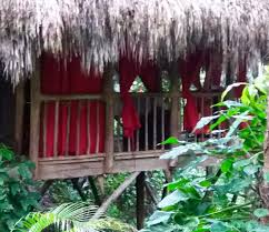ecolodges republica domincana samana iway sys hotel ecologico especial treehouse