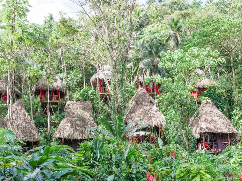ecolodges republica domincana samana iway sys hotel ecologico especial treehouse bongalows