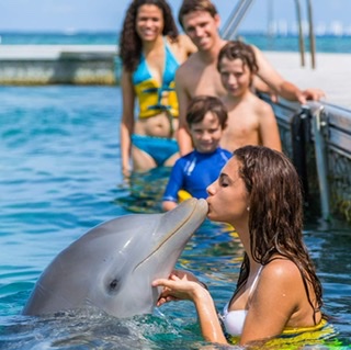 delfines dolphin punta cana iway sys excursiones dophins