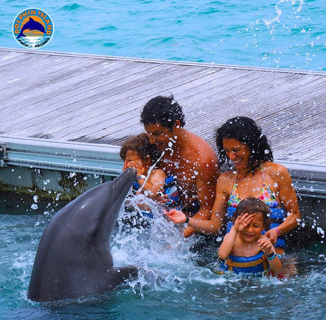 delfines dolphin punta cana iway sys excursiones dophins