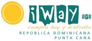 Logo Iwaysys