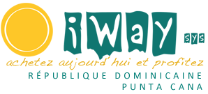 Logo Iwaysys