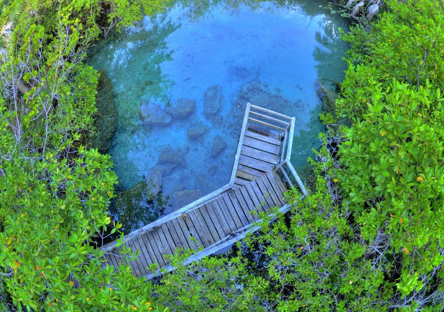 ojos indigenas cenote en punta cana, republicadominicana